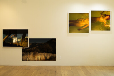 Almanaque_TaniaFrancoKlein_ExhibitionView_web