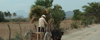 El lenguaje del viento y la milpa Tehuantepec, Región Istmo, Oaxaca, 2007. Fotografía de @Lon&Queta. Recuperada de Flickr. CC BY-NC-SA 2.0