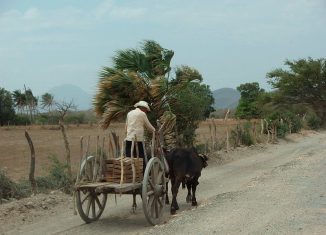 Tehuantepec, Región Istmo, Oaxaca, 2007. Fotografía de @Lon&Queta. Recuperada de Flickr. CC BY-NC-SA 2.0