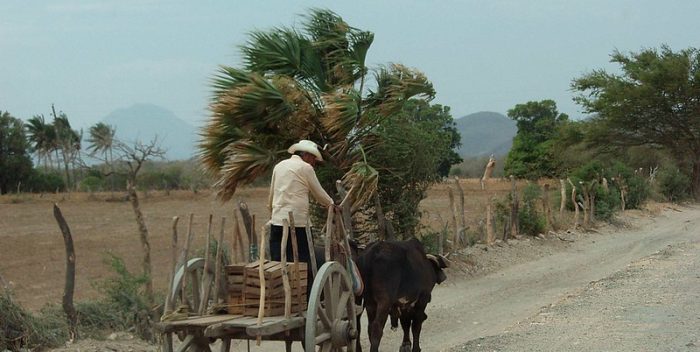 Tehuantepec, Región Istmo, Oaxaca, 2007. Fotografía de @Lon&Queta. Recuperada de Flickr. CC BY-NC-SA 2.0