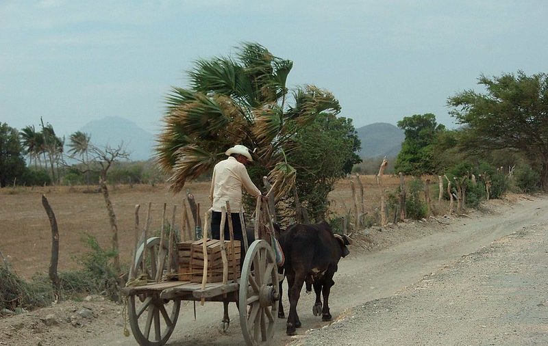 Tehuantepec, Región Istmo, Oaxaca, 2007. Fotografía de @Lon&Queta. Recuperada de Flickr. CC BY-NC-SA 2.0