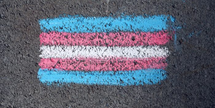Fotografía de Katie Rainbow, 2021. Recuperada de Pexels.
