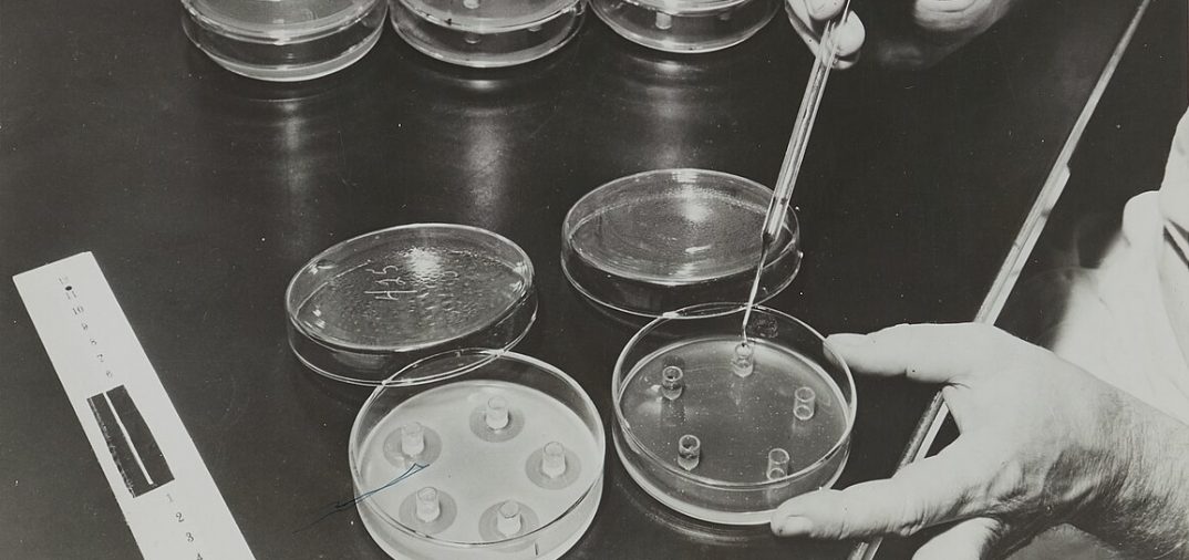 Producción del primer antibiótico, la penicilina; Fotografía de la exposición del Palacio de la Découverte titulada "Penicilina", 1946. Wikimedia Commons, CC BY-SA 4.0.
