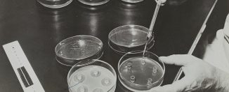Producción del primer antibiótico, la penicilina; Fotografía de la exposición del Palacio de la Découverte titulada "Penicilina", 1946. Wikimedia Commons, CC BY-SA 4.0.