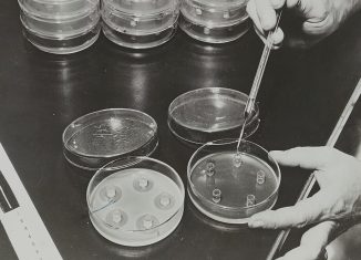 Producción del primer antibiótico, la penicilina; Fotografía de la exposición del Palacio de la Découverte titulada "Penicilina", 1946. Wikimedia Commons, CC BY-SA 4.0.