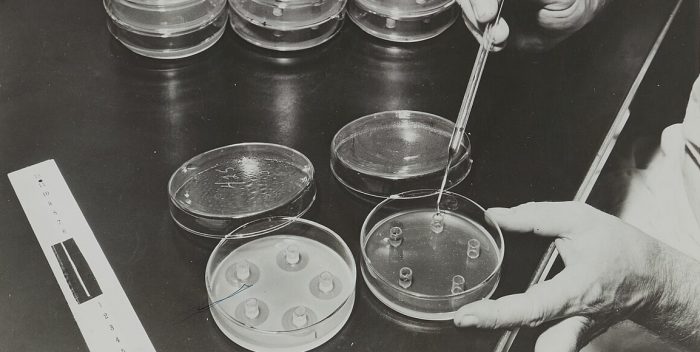 Producción del primer antibiótico, la penicilina; Fotografía de la exposición del Palacio de la Découverte titulada "Penicilina", 1946. Wikimedia Commons, CC BY-SA 4.0.